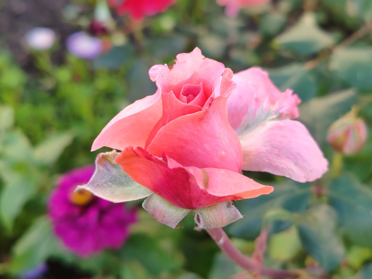 Фото автора канала. 