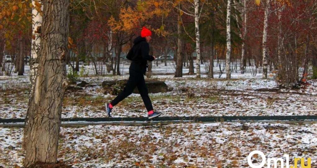 Мокрый снег накроет Новосибирск в сентябре