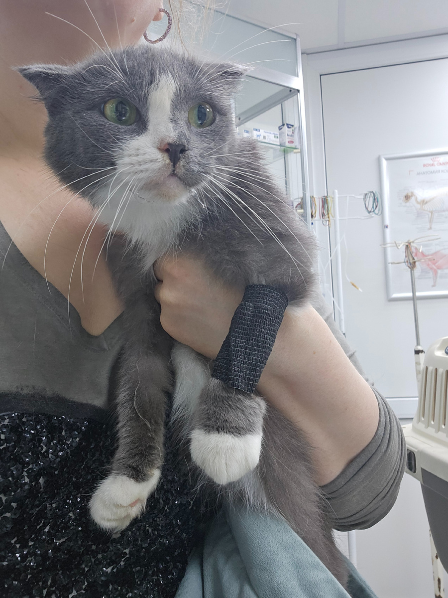 Аннушка, болеет ФИП