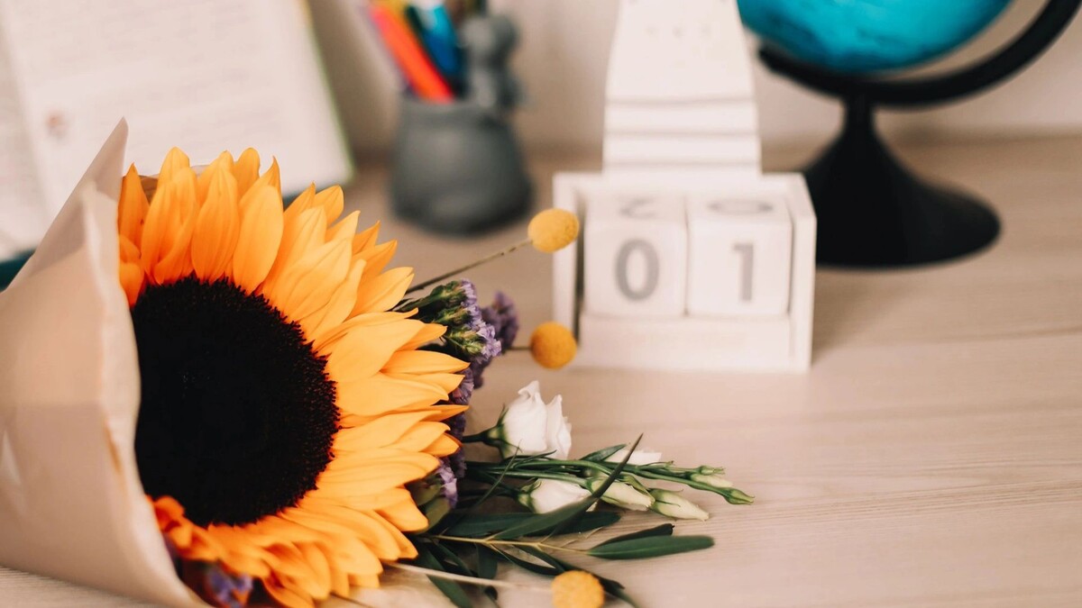    Фото: paralisart / shutterstock.com / Fotodom