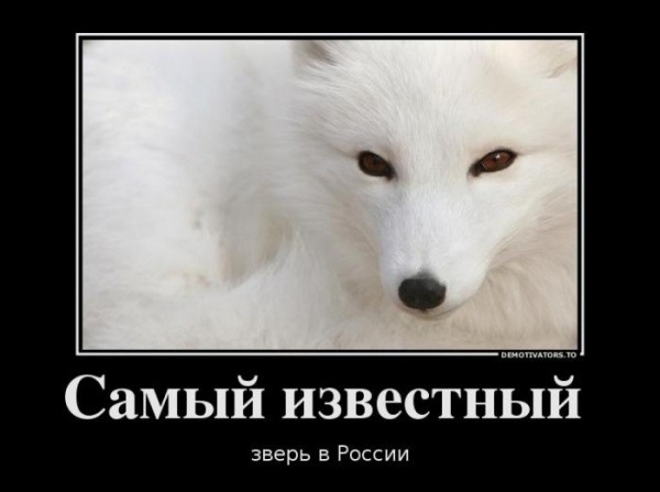 Источник: соцсети