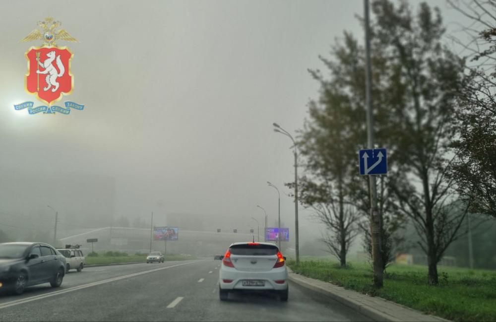     Фото: ГИБДД Свердловской области