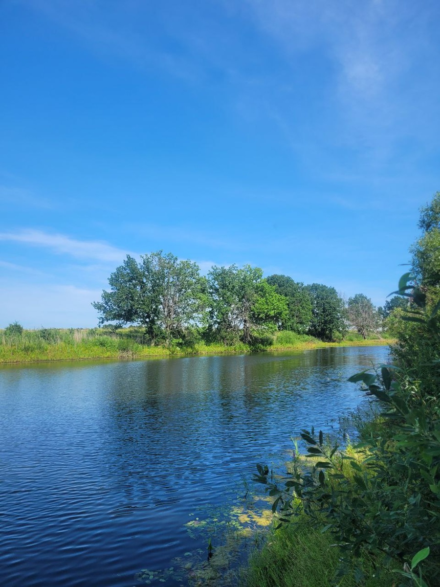 Летнее фото