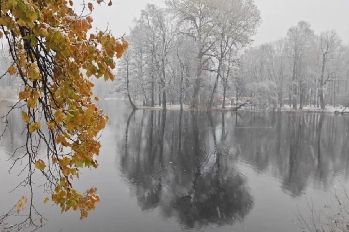    В Новосибирске ожидают самую нестабильную осень за 100 лет