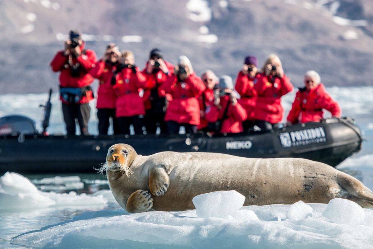 Чем уникальна российская Арктика