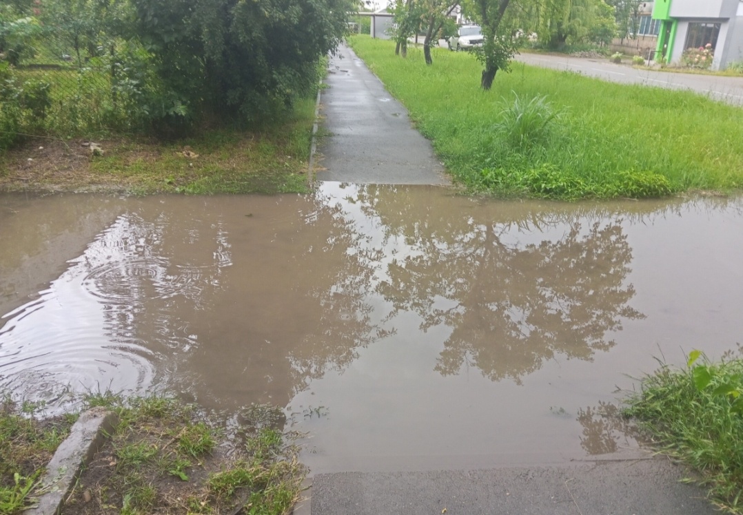 Так начиналось это лето