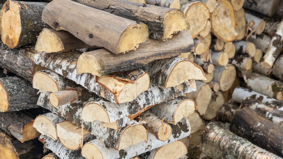    Фото: Александр Чирва / «Ямал-Медиа»