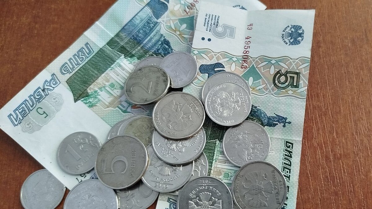    Фото: телеканал «Краснодар»