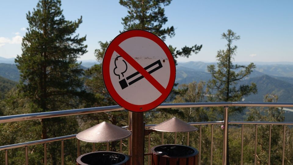    Не курить. Курение. Источник: Олег Укладов