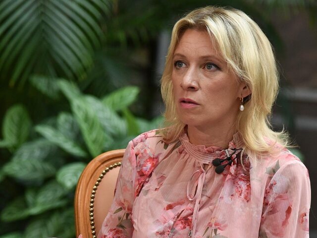    Фото: Москва 24/Никита Симонов