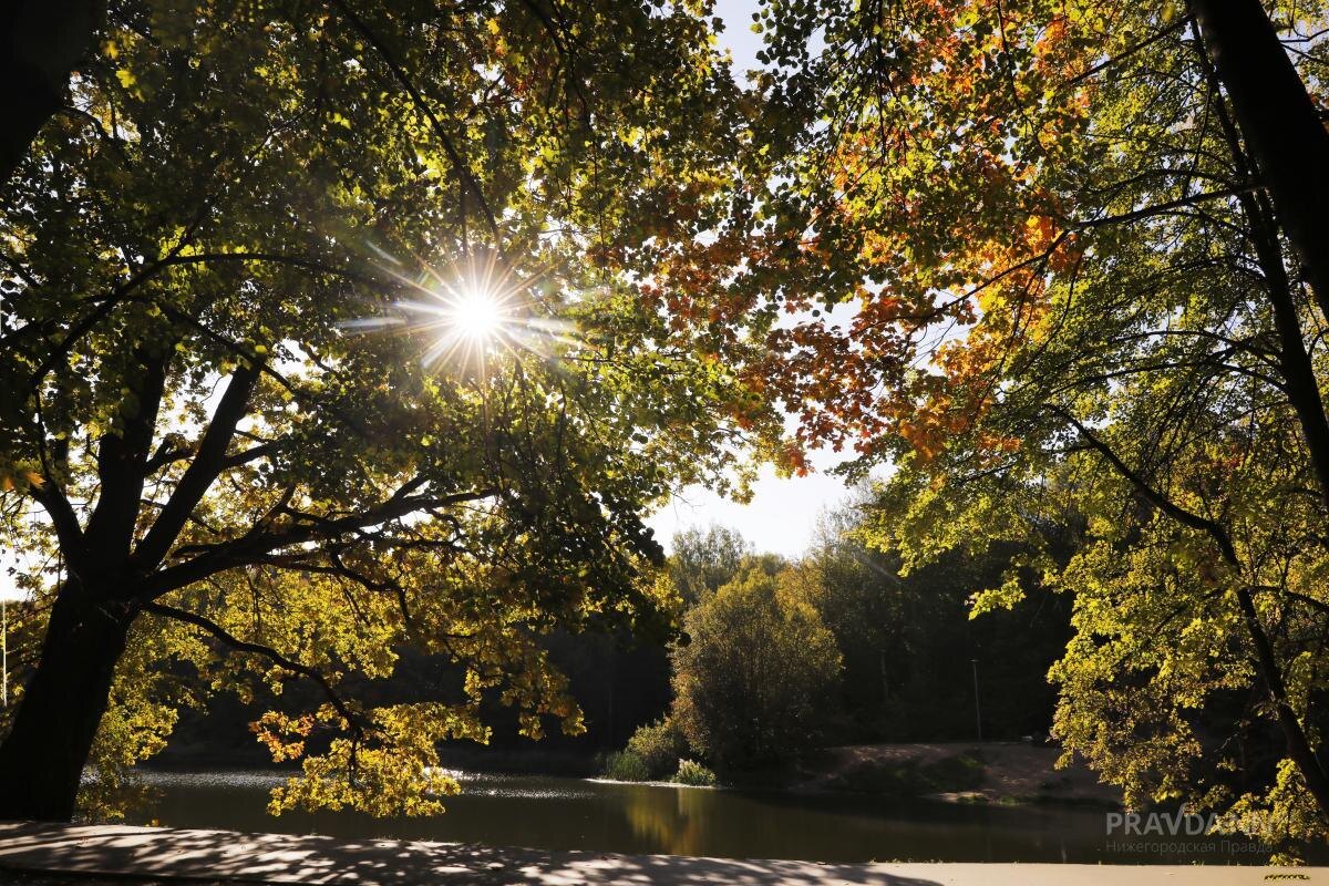    Понедельник, 1 сентября, станет самым жарким и солнечным днём недели
