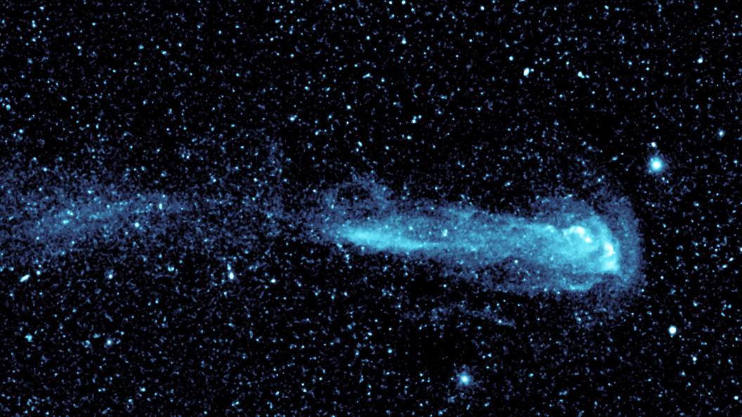 Завораживающий образ миры, летящей со скоростью звезды. Фото:rostov.tsargrad.tv