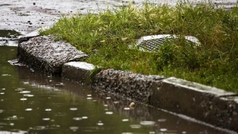     Дождь. Михаил Хаустов