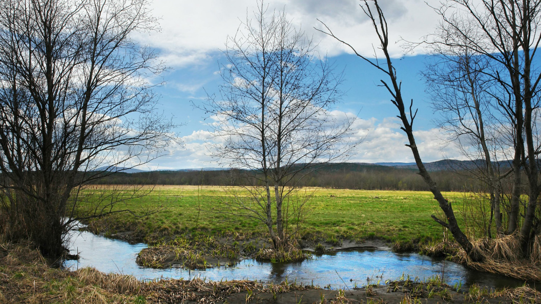    Фото: Sergey Malkov/Globallookpress.