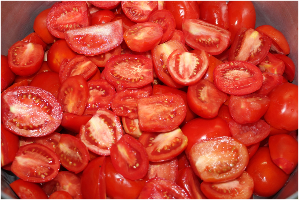 Личное фото автора.