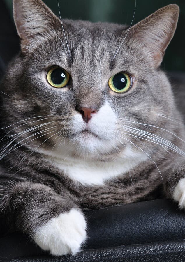 Фото из Интернета.