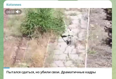    Фото: Скриншот Telegram/Kotsnews
