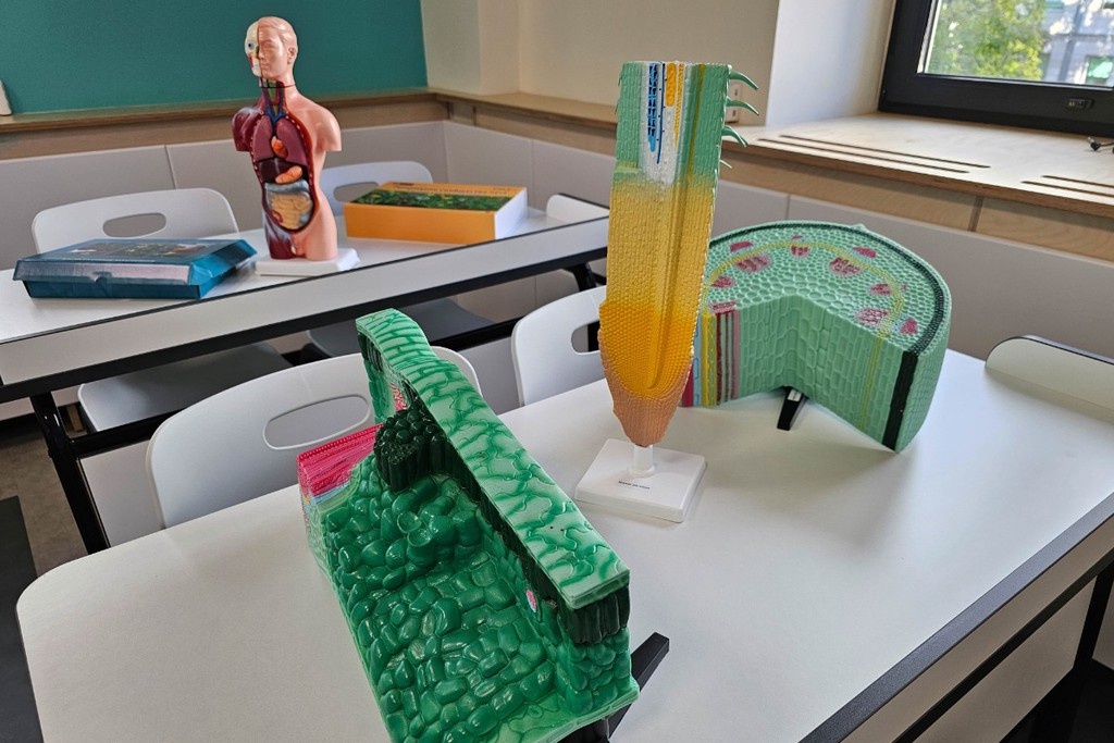    Фото © АГН «Москва» / Мобильный репортер