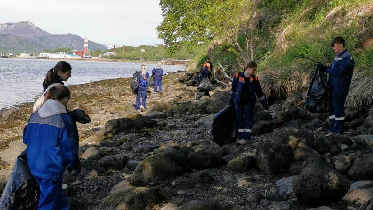 Фото Центра занятости населения Камчатского края