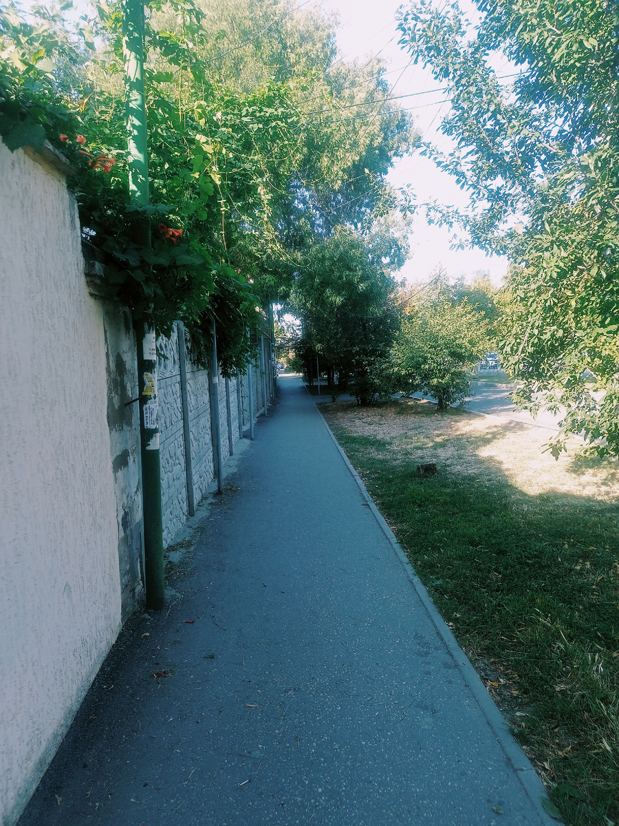 Фото автора.