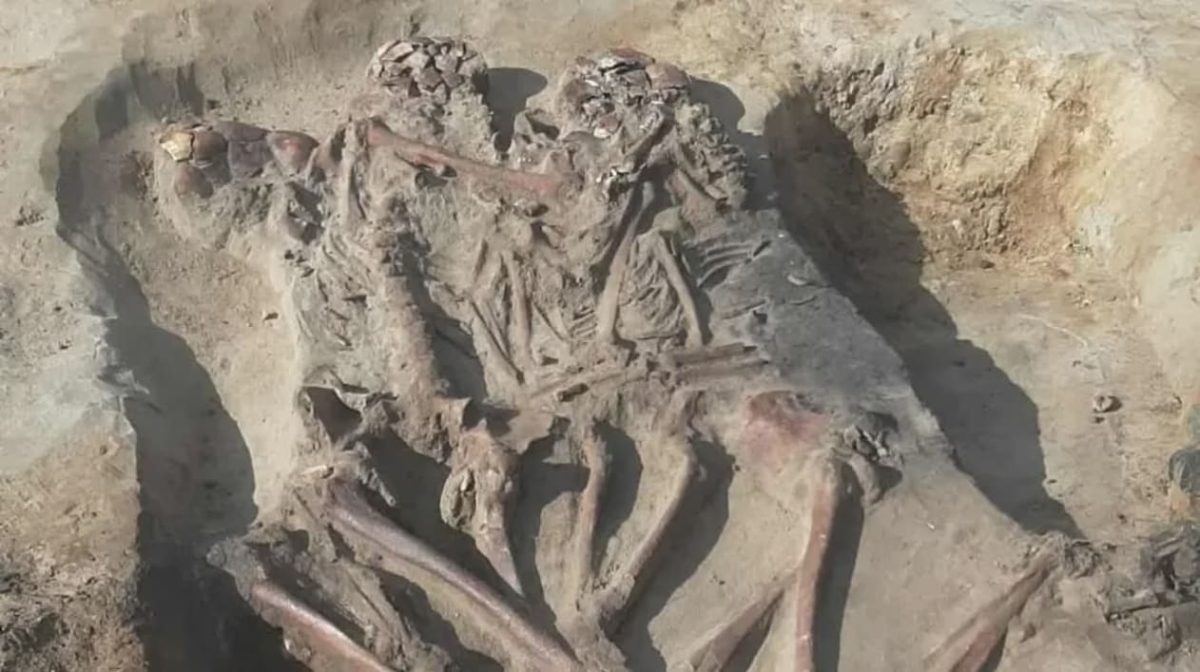    Найденное в Польше захоронение эпохи мезолита / © Zuzanna Tomporowska