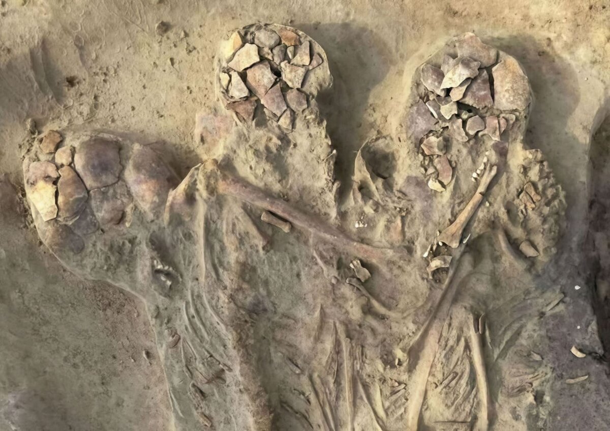    Останки предполагаемых членов одной семьи, найденные в Польше / © Zuzanna Tomporowska