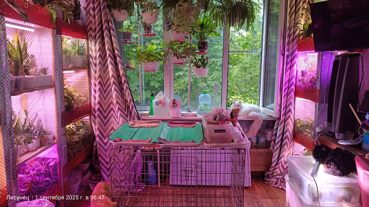 Фото автора )