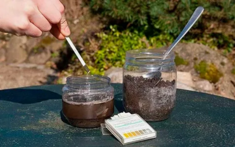 Проще всего кислотность определить с помощью лакмусовой бумажки. 