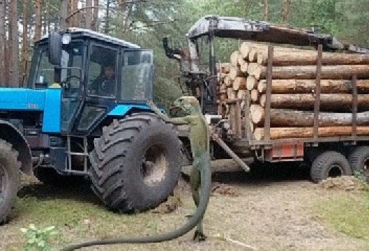 -2