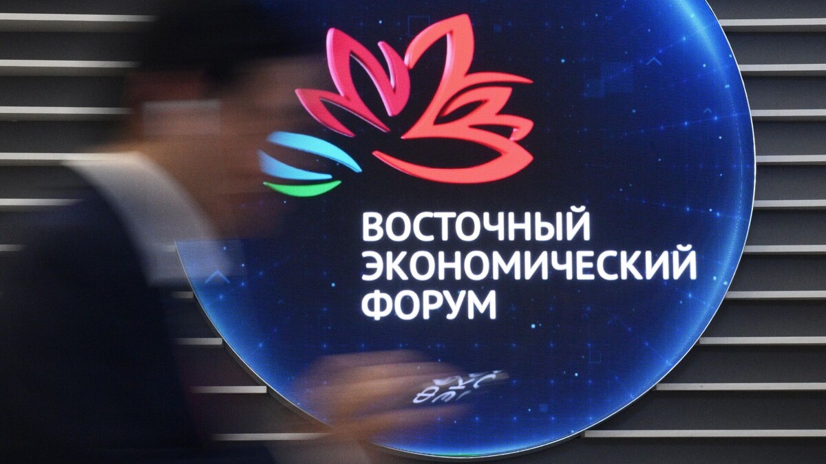 Фото взято с сайта  aldita.ru