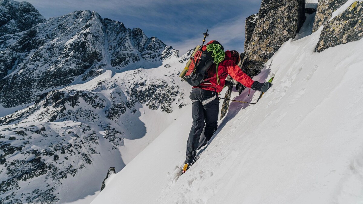   Фото: Ondra Vacek/Shutterstock/Fotodom