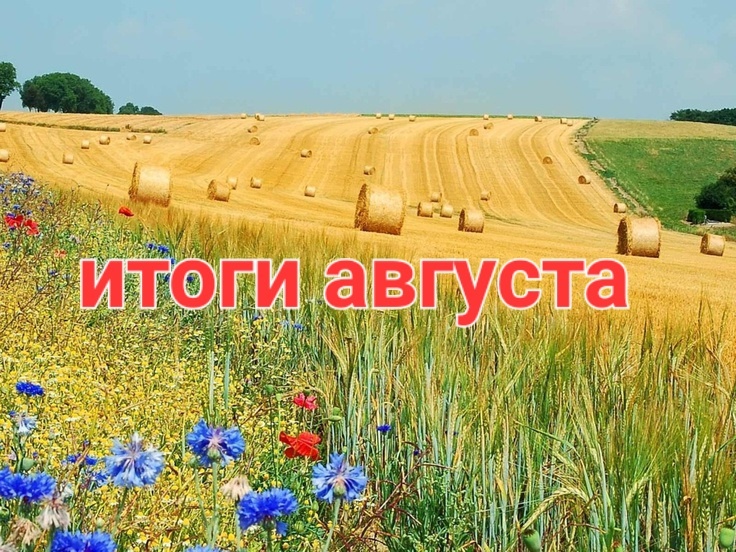 Фото из открытых источников интернета