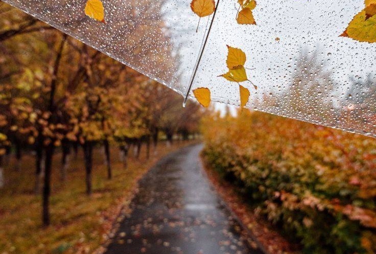    Фото: «ПермьПарк» Полина Анкушина