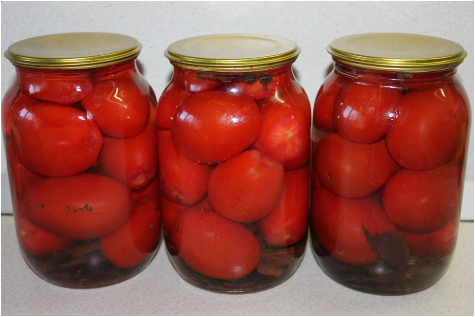 Личное фото автора.