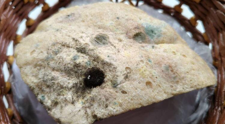 Фото: Елена Ховхун