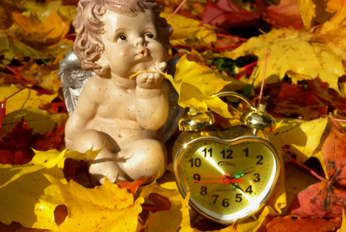 картинки Яндекс