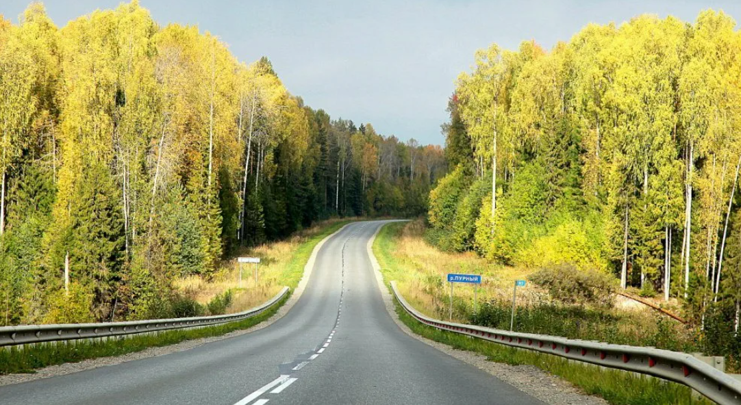 Яндекс картинки