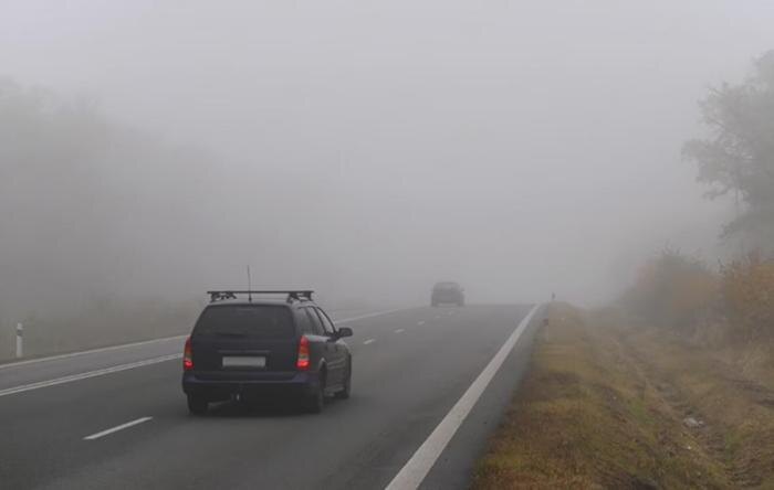     Фото: УГИБДД по Свердловской области