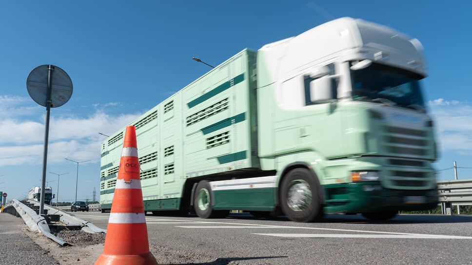 Фото: Олег Харсеев / Коммерсантъ