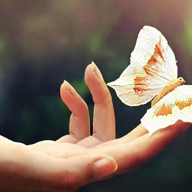 (Картинка из интернета)