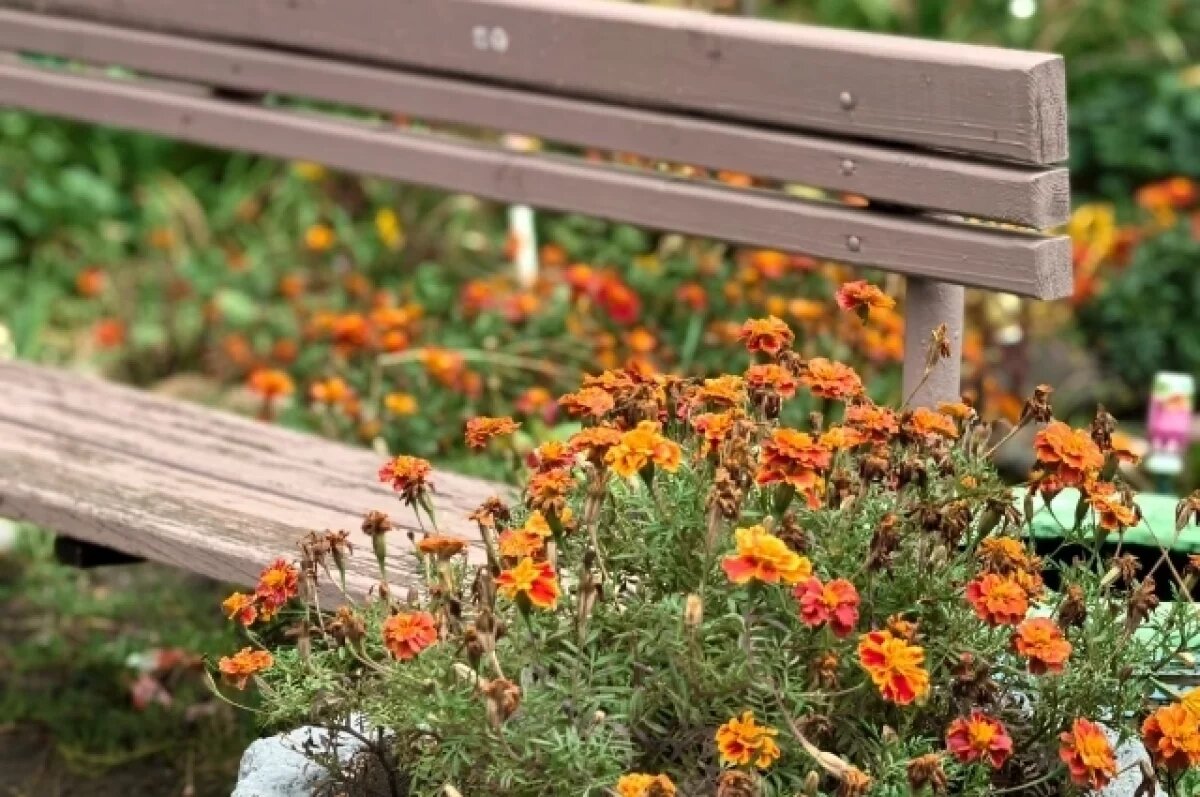    В Крыму 1 сентября воздух прогреется до +30 градусов