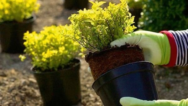 Фото использовано в качестве иллюстрации. Источник Яндекс-картинки