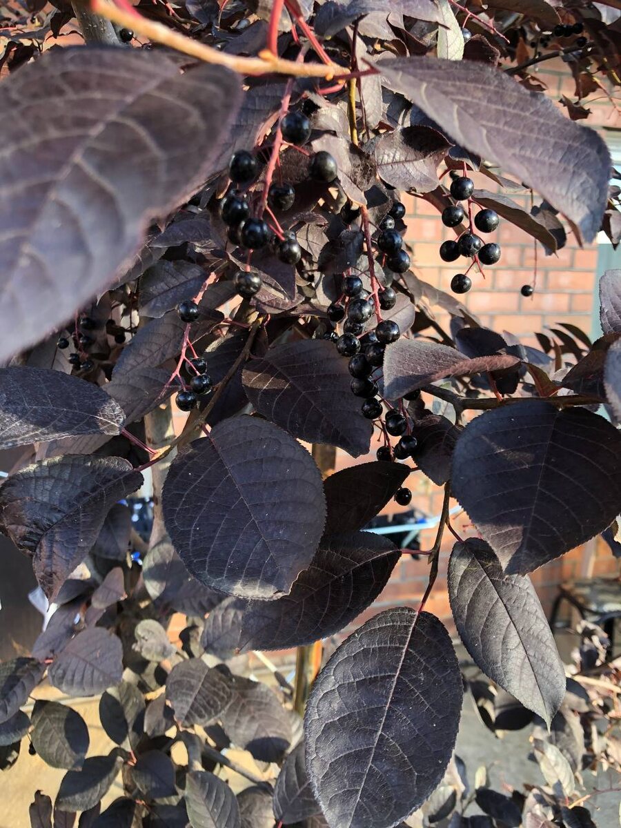 Фотографии принадлежат автору