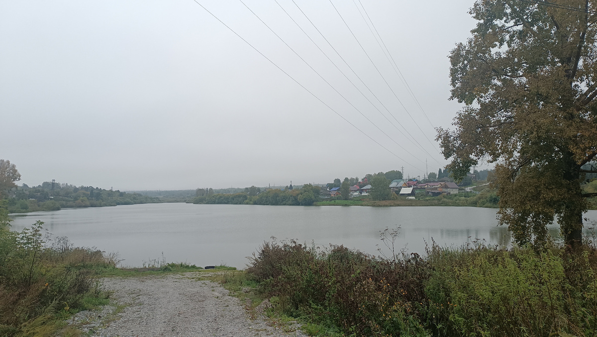 Комсомольский пруд. Сегодняшнее утро