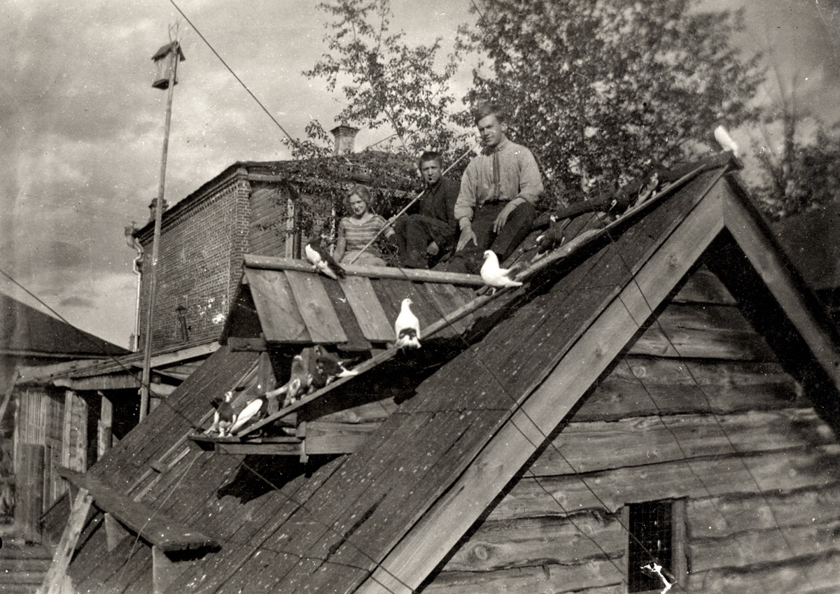 картинка из интернета