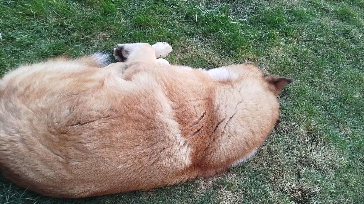    Фото: телеканал «Краснодар»