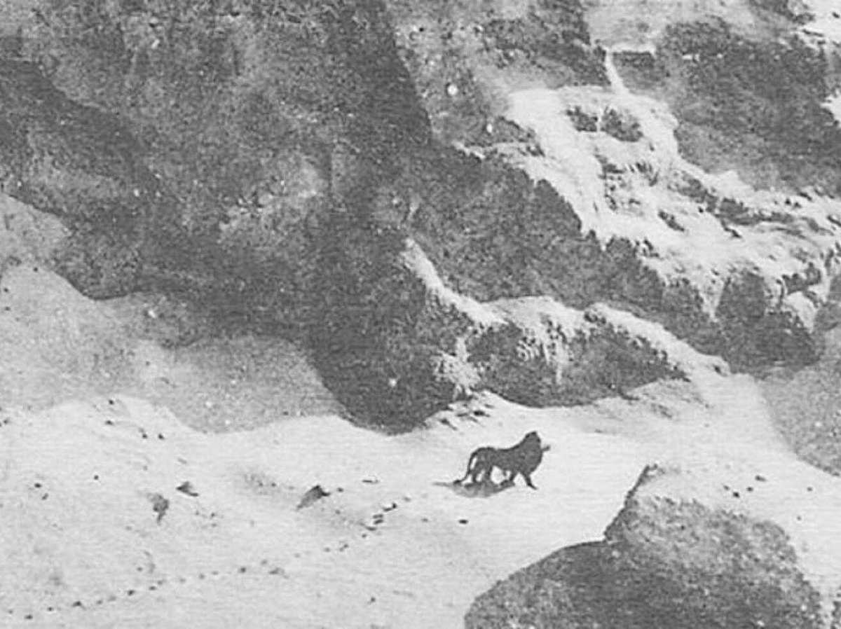 запечатлел знаменитый военный фотограф Марселин Флэндрин