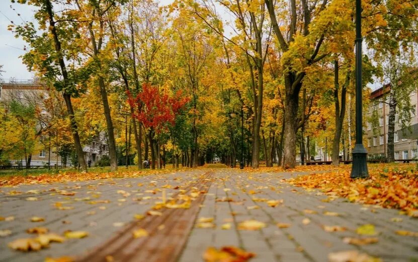    Погода в Ижевске на месяц: каким обещает быть сентябрь 2025 – знойным или прохладным