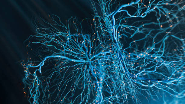 Запах и память: можно ли сознательно «закрепить» воспоминание через аромат?