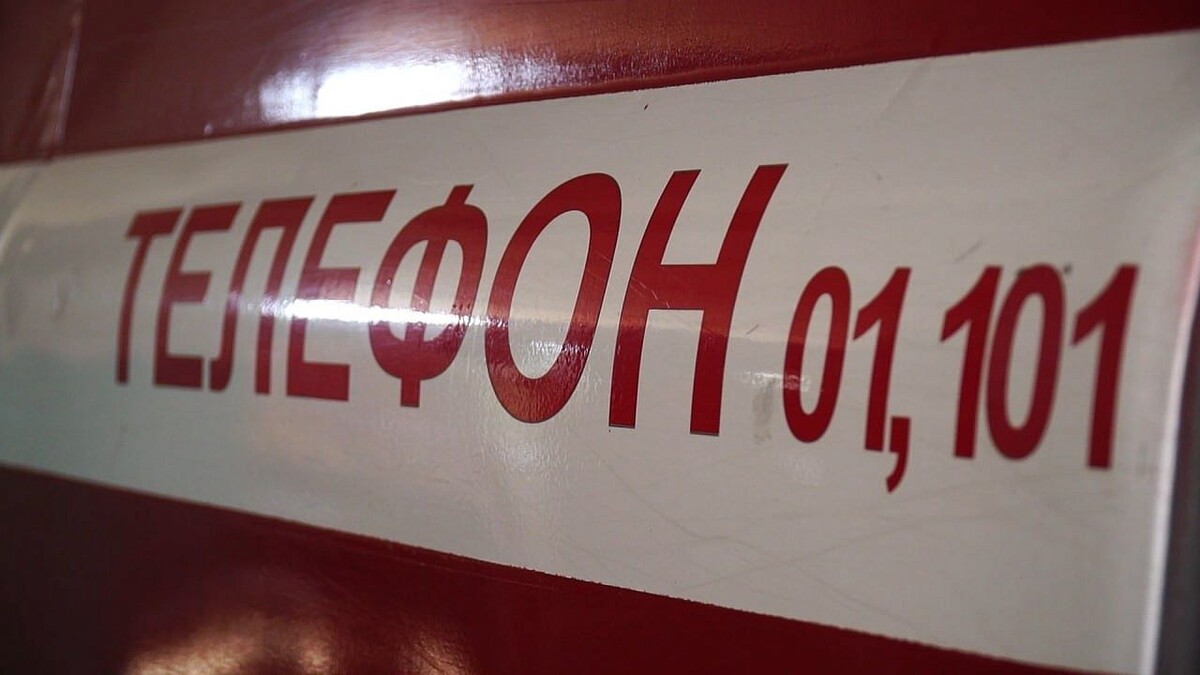    Фото: телеканал «Краснодар»